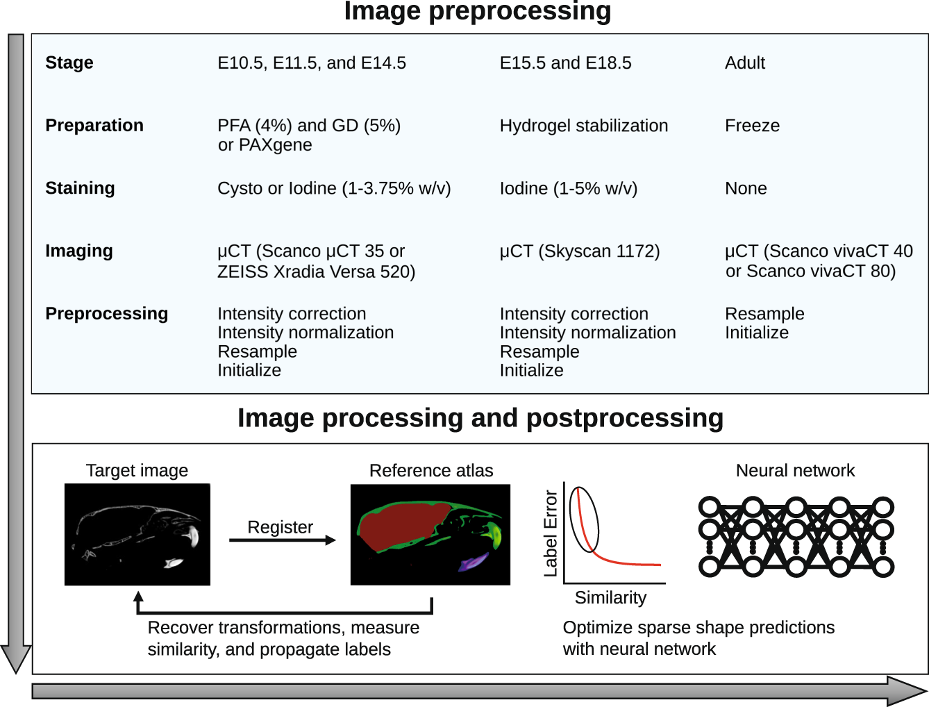 Musmorph A Database Of Standardized Mouse Morphology Data For Morphometric Meta Analyses Scientific Data