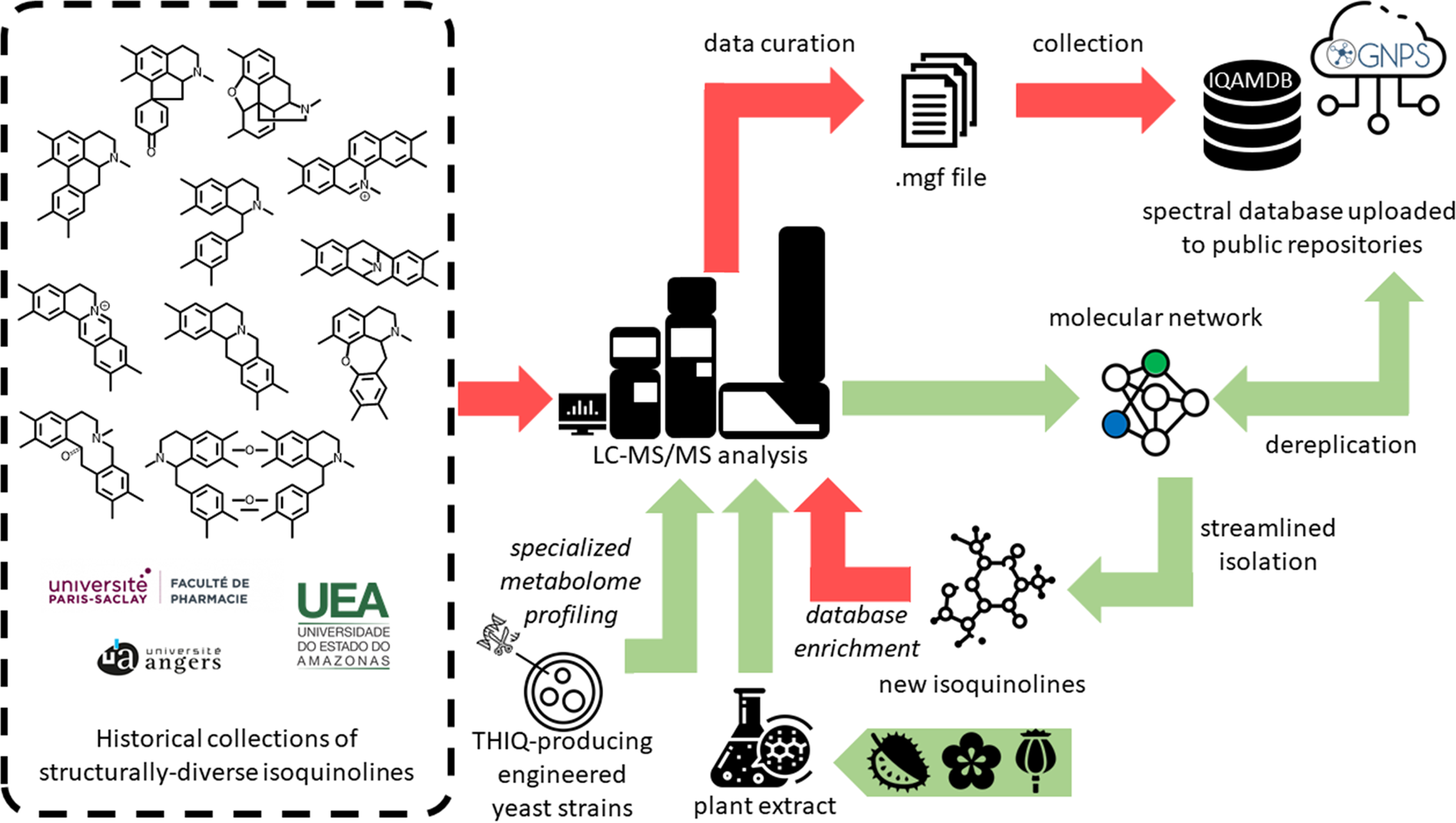 Implementation of a MS/MS database for isoquinoline alkaloids and other  annonaceous metabolites | Scientific Data