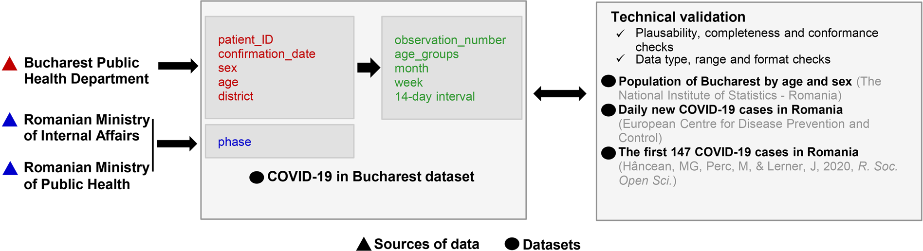 Disaggregated data on age and sex for the first 250 days of the COVID-19  pandemic in Bucharest, Romania | Scientific Data