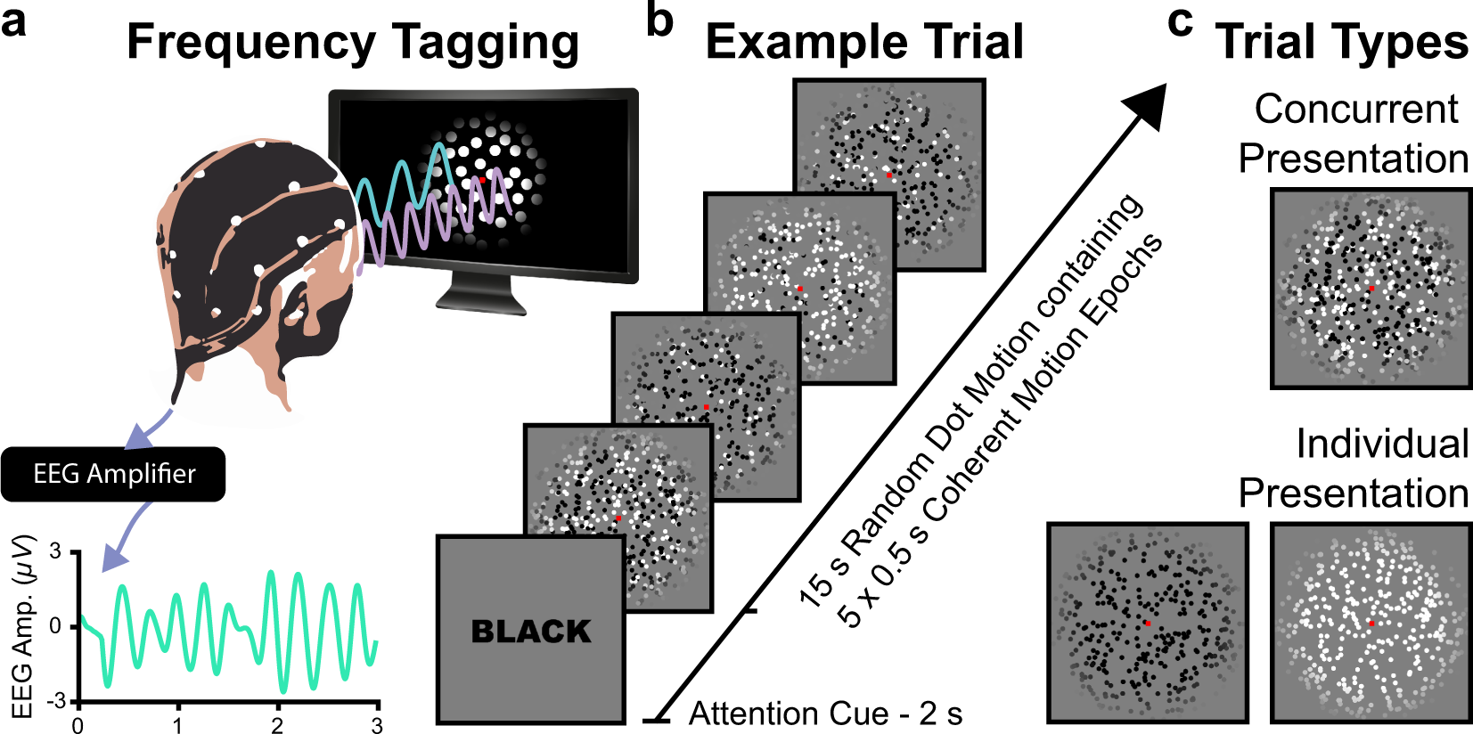 Optimising the classification of feature-based attention in  frequency-tagged electroencephalography data | Scientific Data