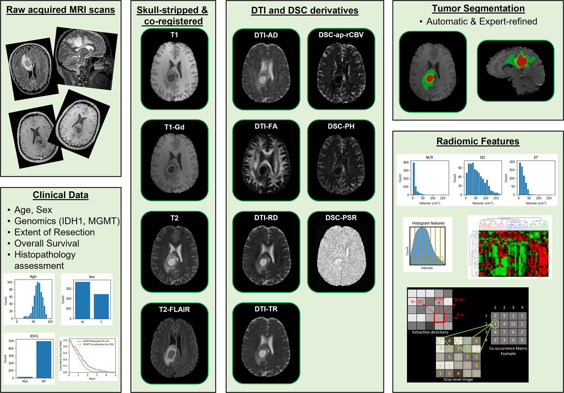 Frontiers  Multiparametric magnetic resonance imaging-derived