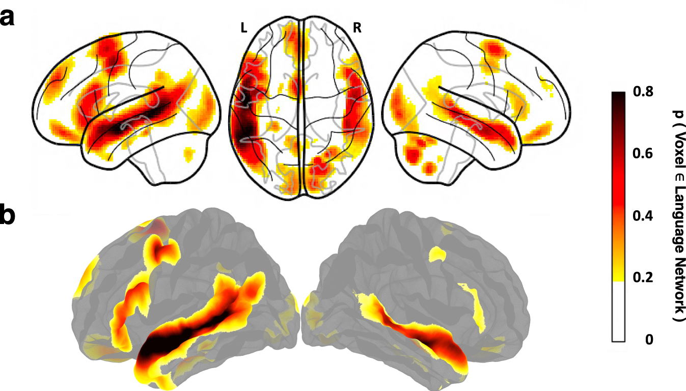 Probabilistic atlas for the language network based on precision fMRI data  from >800 individuals | Scientific Data