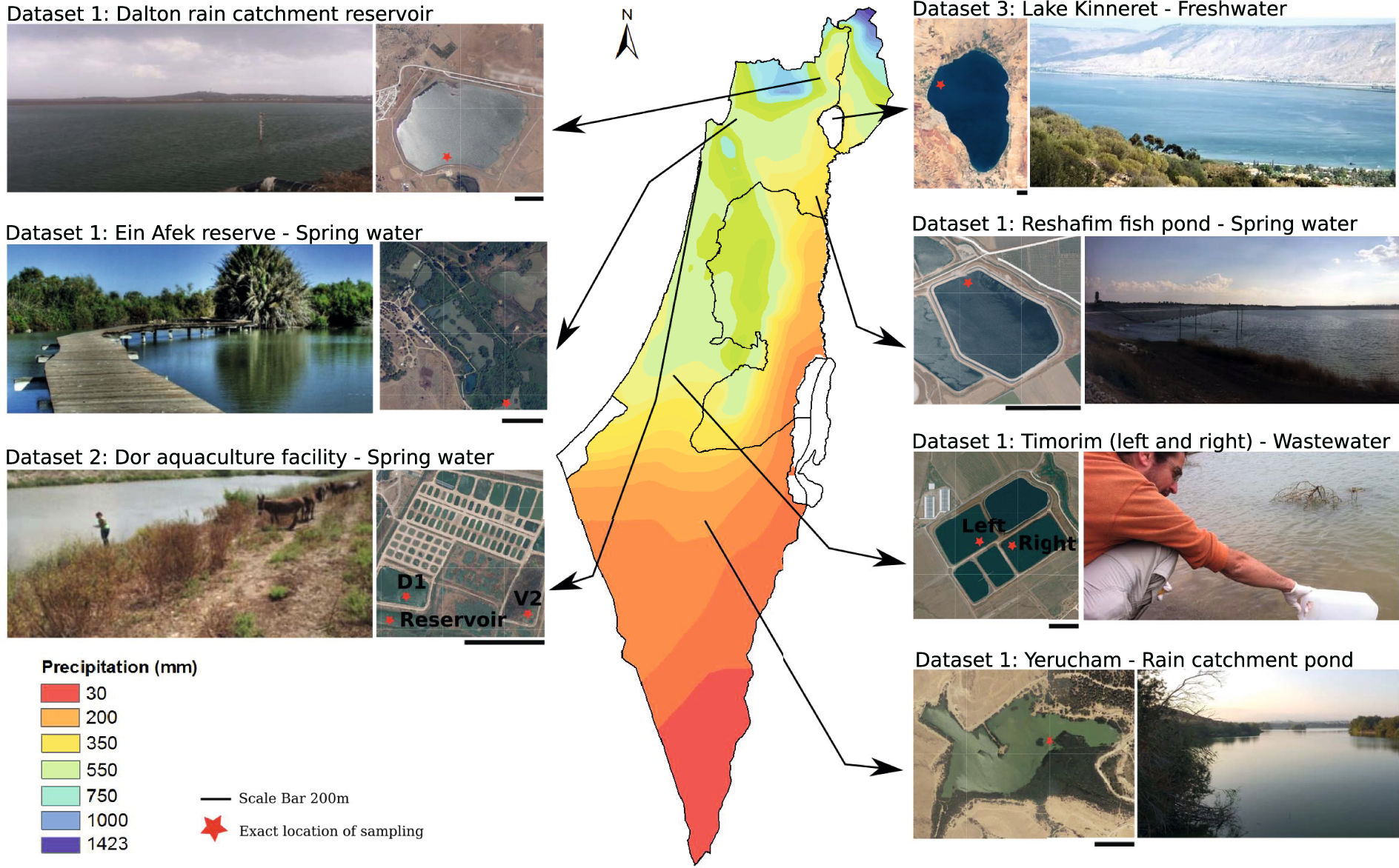 Freshwater microbial metagenomes sampled across different water body  characteristics, space and time in Israel | Scientific Data