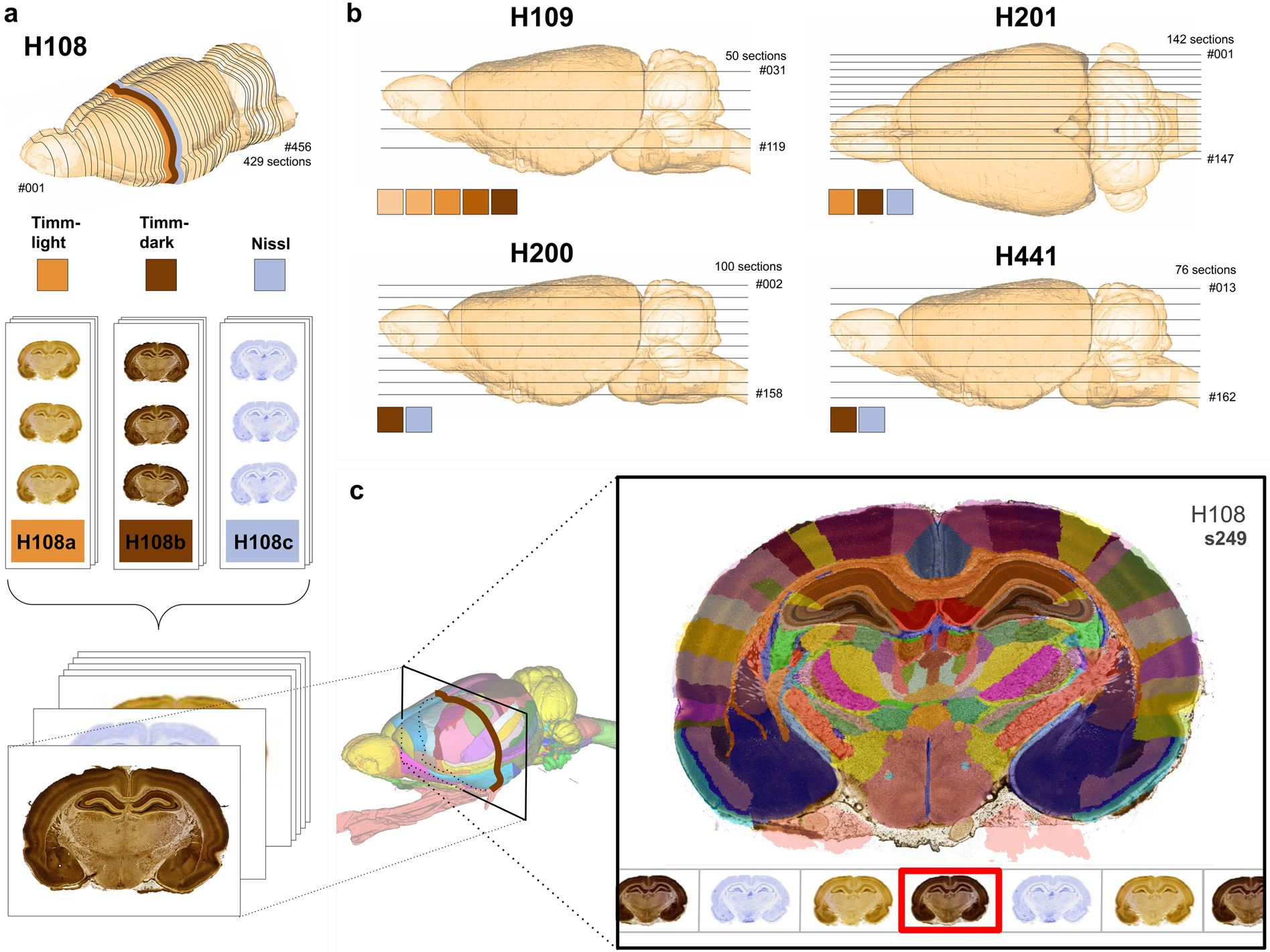 A Timm-Nissl multiplane microscopic atlas of rat brain zincergic terminal  fields and metal-containing glia | Scientific Data