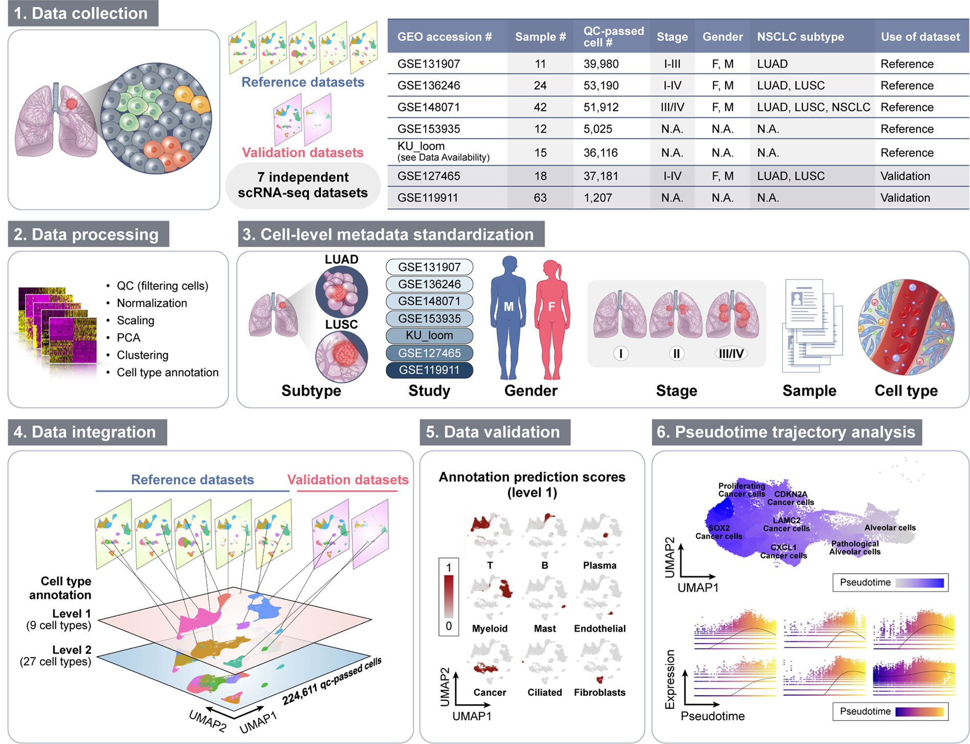 Precise identification of cell states altered in disease using healthy  single-cell references