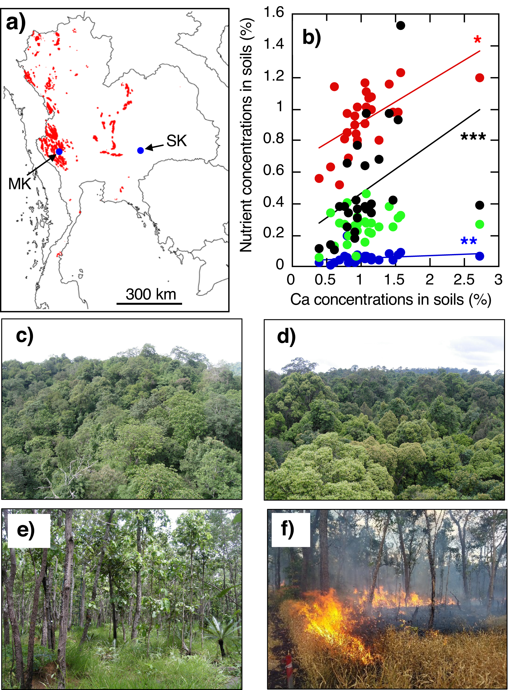 The global biogeography of tree leaf form and habit