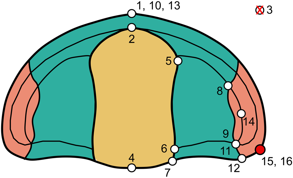 Fig. 3