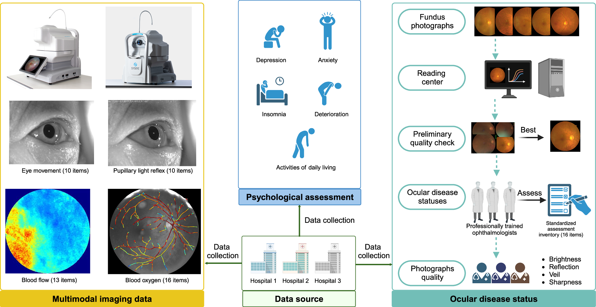 Multimodal Eye Imaging, Retina Characteristics, and Psychological  Assessment Dataset | Scientific Data