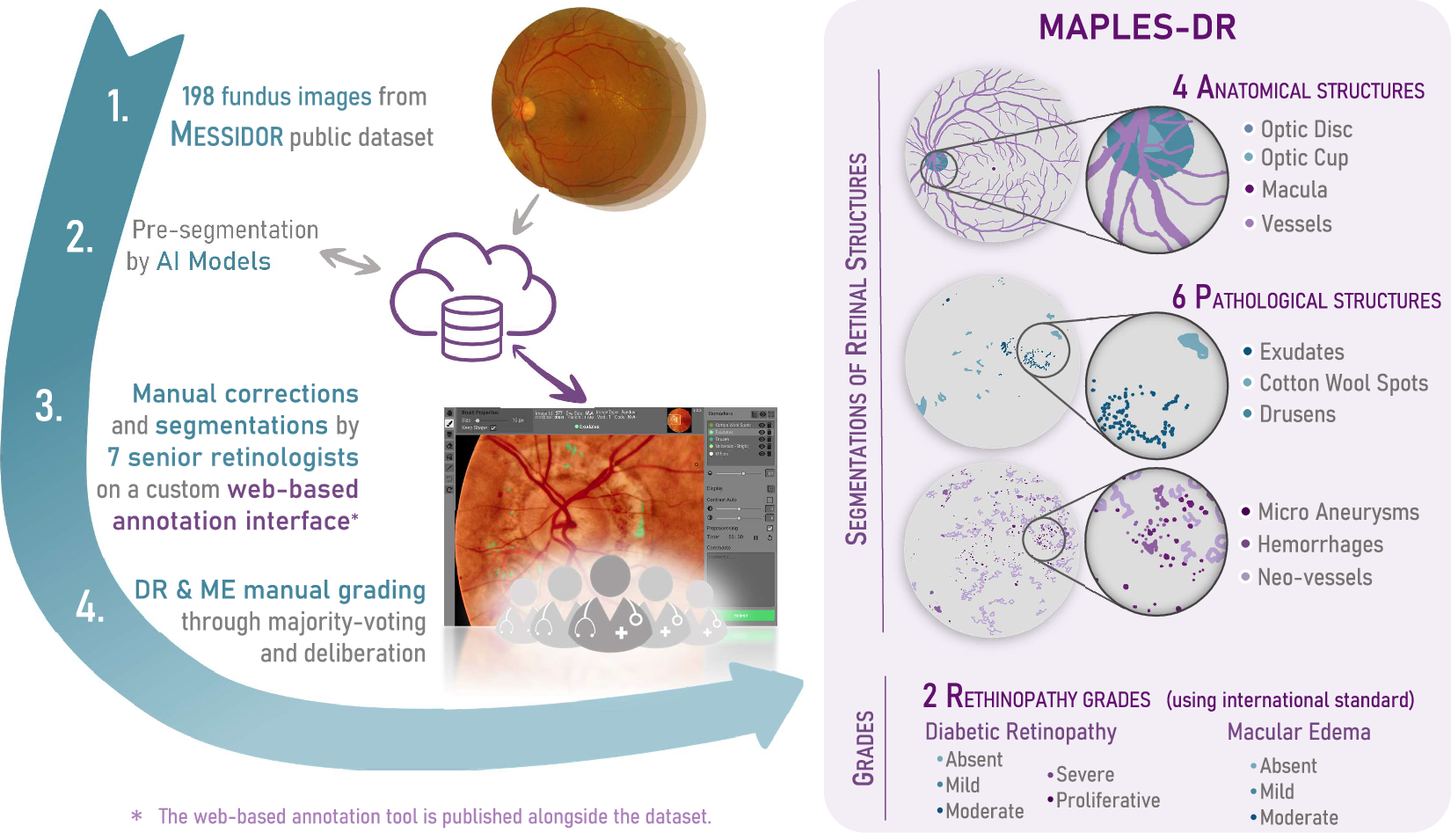 MAPLES DR MESSIDOR Anatomical and Pathological Labels for ...