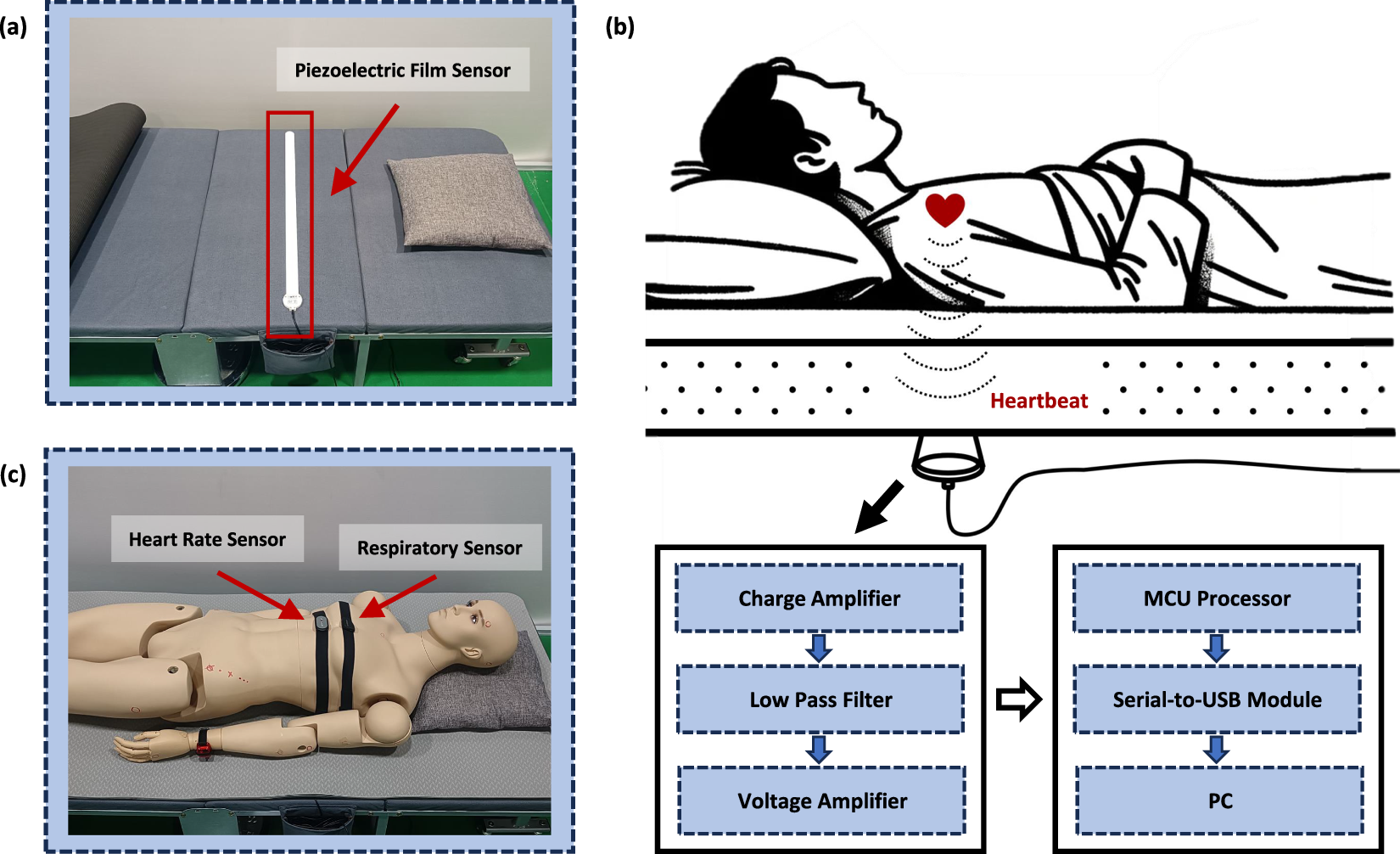 A ballistocardiogram dataset with reference sensor signals in long-term  natural sleep environments | Scientific Data