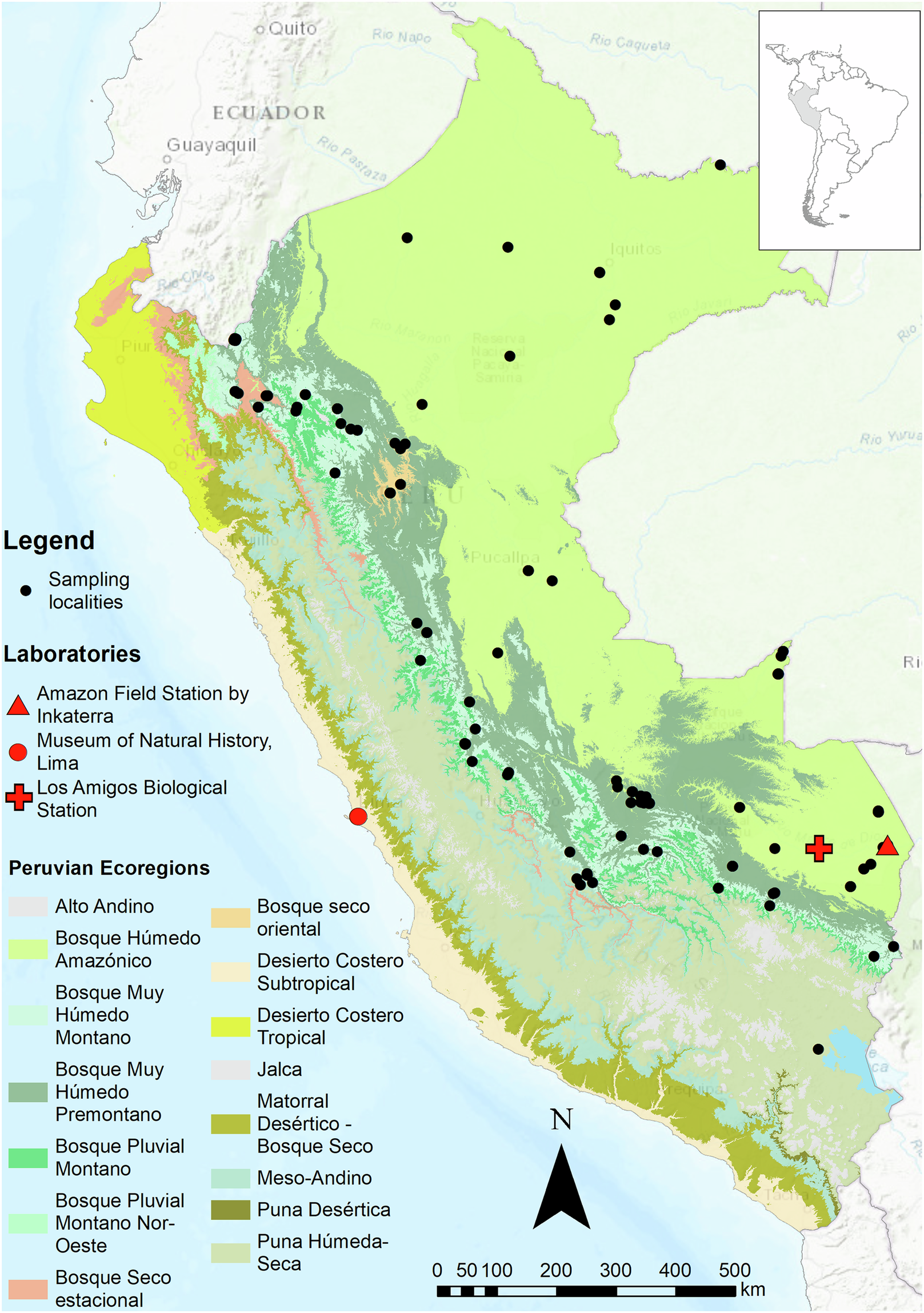 Decoding the Peruvian Amazon with in situ DNA barcoding of vertebrate and  plant taxa | Scientific Data, image size:1617x2298