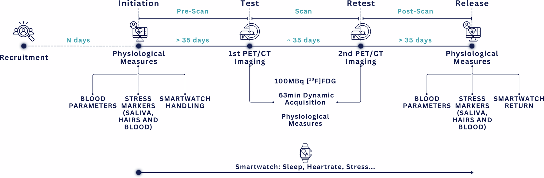 Functional anatomy of zinc finger antiviral protein complexes | Nature  Communications, image size:1900x623