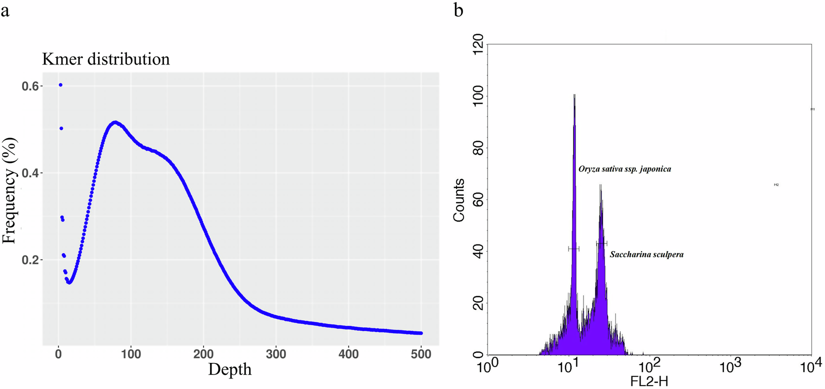 Chromosome-scale genome assembly and annotation of Saccharina sculpera |  Scientific Data