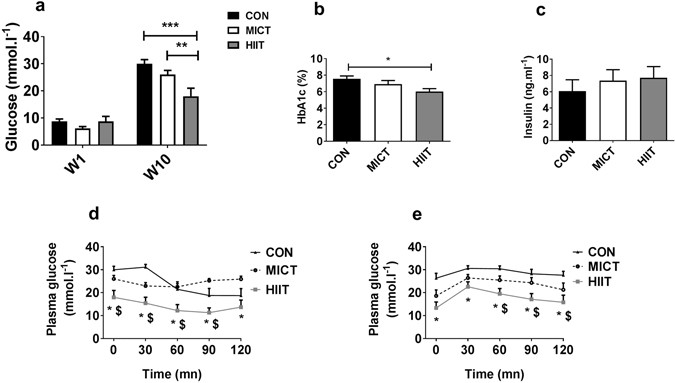 Effects Of High Intensity Interval Training And Moderate Intensity Continuous Training On Glycaemic Control And Skeletal Muscle Mitochondrial Function In Db Db Mice Scientific Reports