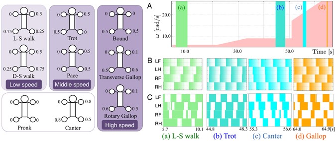 A Quadruped Robot Exhibiting Spontaneous Gait Transitions from Walking to  Trotting to Galloping | Scientific Reports