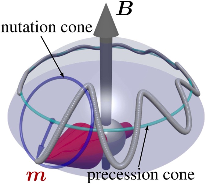 Magnetic moment of inertia within the torque-torque correlation model |  Scientific Reports