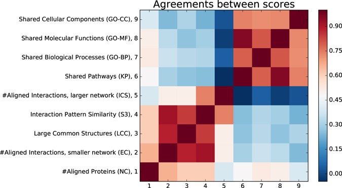 unified alignment of protein protein interaction networks