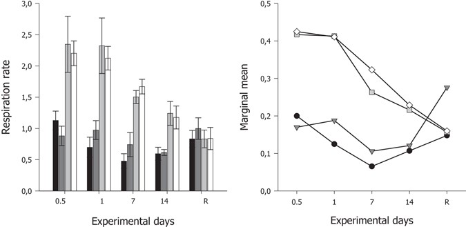 The Response Of A Boreal Deep Sea Sponge Holobiont To Acute Thermal Stress Scientific Reports