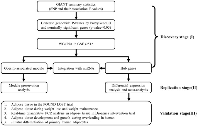 A Systems Genetics Approach Identified Gpd1l And Its - 