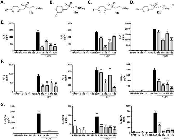 Key Molecule May Tie Immune Response To >> Dendritic Cells Provide A Therapeutic Target For Synthetic Small Key Molecule May Tie Immune Response To >> Dendritic Cells Provide A Therapeutic Target For Synthetic Small