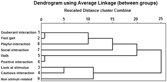 https://media.springernature.com/full/springer-static/image/art%3A10.1038%2Fs41598-017-01992-x/MediaObjects/41598_2017_1992_Fig1_HTML.jpg