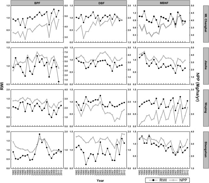 Tree-ring widths are good proxies of annual variation in forest  productivity in temperate forests | Scientific Reports