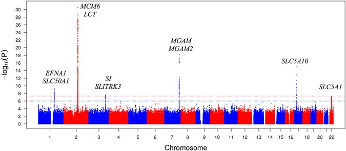 Glycomark Chart