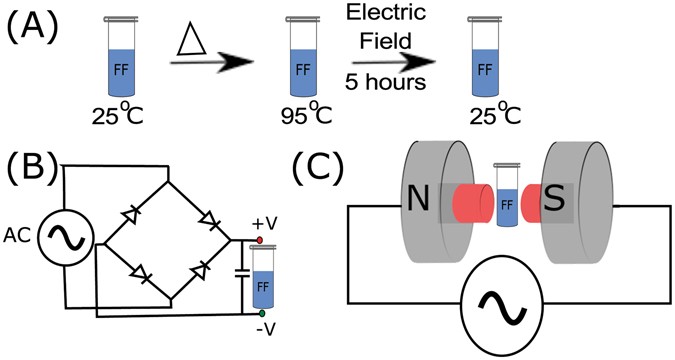 Modulation Of Peptide Based Nano Emblies With Electric And A Dissolved Peptide Was Allowed To Cool Down From 95 C Room Temperature While Incubating In The Presence Of Electric Field B Set Up