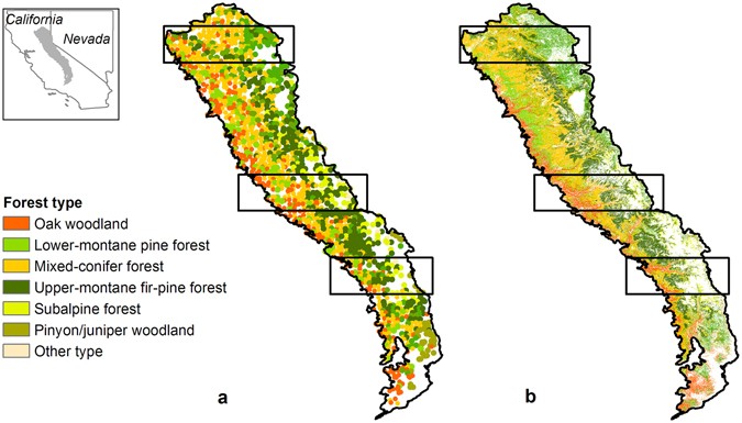 the polygons show the three transects simulated in the northern central and southern sierra nevada usa a distribution of forest types derived from fia the polygons show the three transects simulated in the northern central and southern sierra nevada usa a distribution of forest types derived from fia