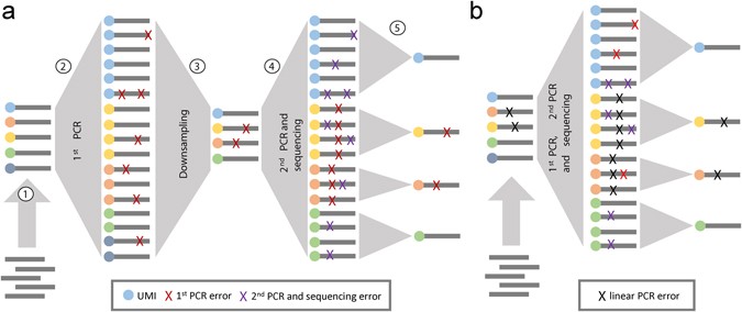 A High Throughput Assay For Quantitative Measurement Of Pcr Errors Scientific Reports