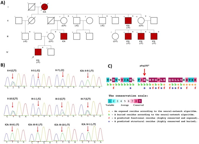 Isolated Congenital Anosmia And Cnga2 Mutation Scientific Reports