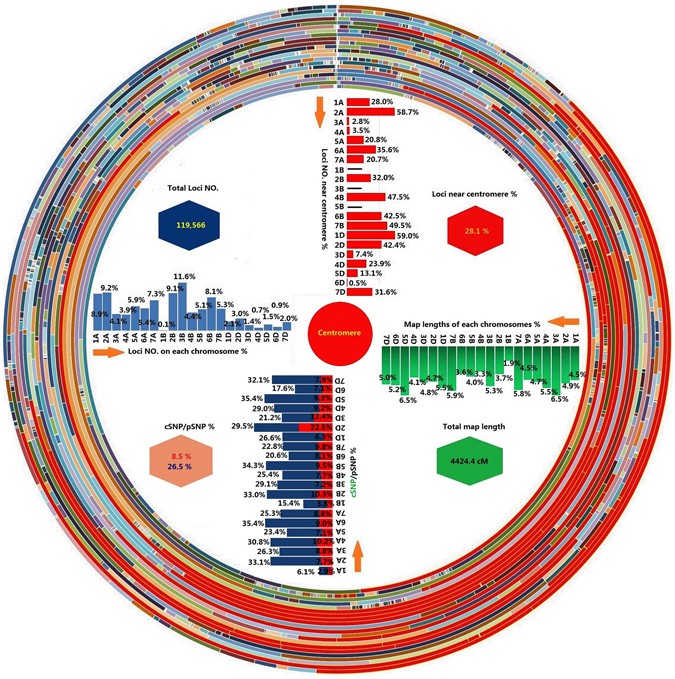 Utilization Of A Wheat660k Snp Array Derived High Density Genetic Map For High Resolution Mapping Of A Major Qtl For Kernel Number Scientific Reports
