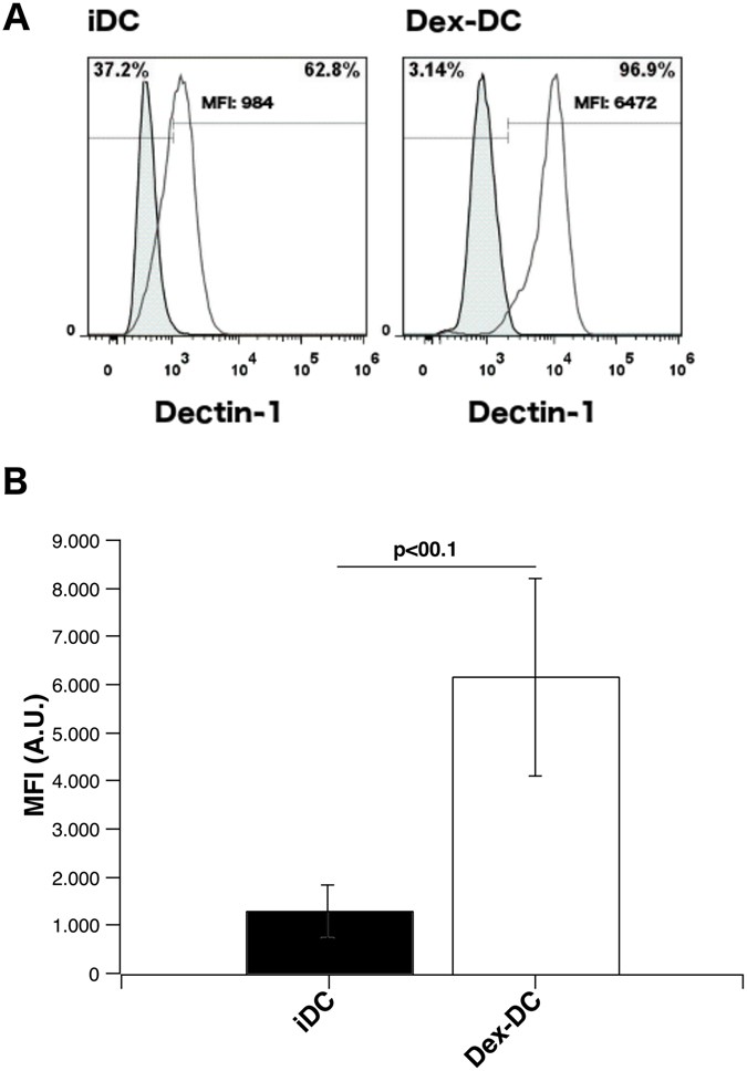 Dexamethasone induced inhibition of Dectin-1 activation of antigen  presenting cells is mediated via STAT-3 and NF-κB signaling pathways |  Scientific Reports