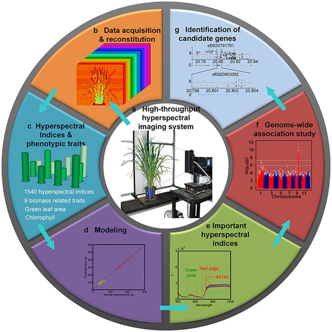 an integrated hyperspectral imaging