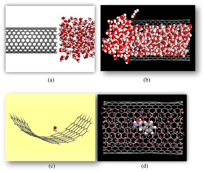molecular origin of drug