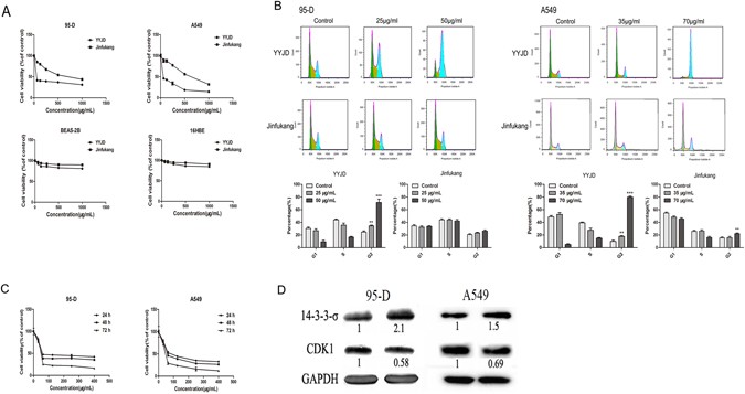 Herbal formula YYJD inhibits tumor growth by inducing cell cycle arrest and  senescence in lung cancer