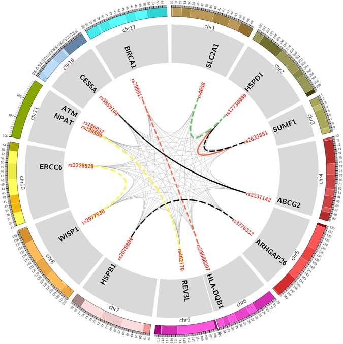 Gene Environment Interaction >> Gene Gene And Gene Environment Interactions Influence Platinum Based Gene Environment Interaction >> Gene Gene And Gene Environment Interactions Influence Platinum Based