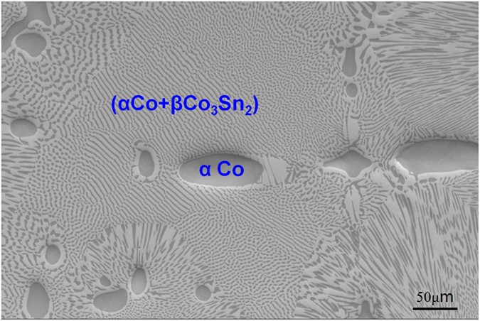 Strong Magnetic Field Effect On The Nucleation Of A Highly - 