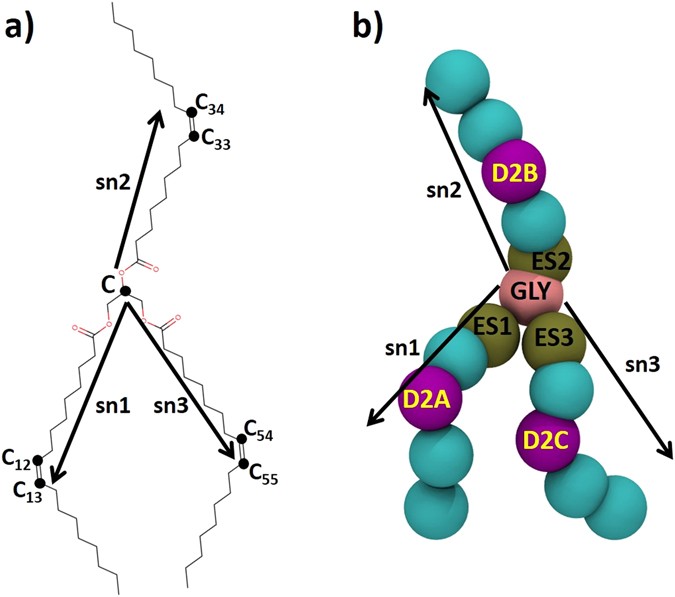 How Cholesteryl Ester Transfer Protein Can Also Be A Potential