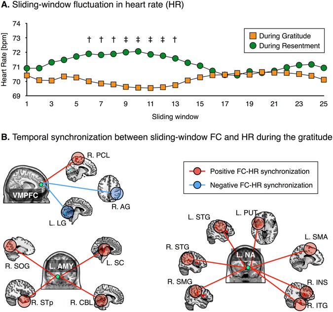 Effects Of Gratitude Meditation On Neural Network Functional - 