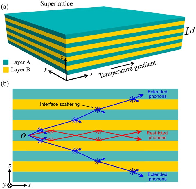 Phonon Surface Scattering and Thermal Energy Distribution in