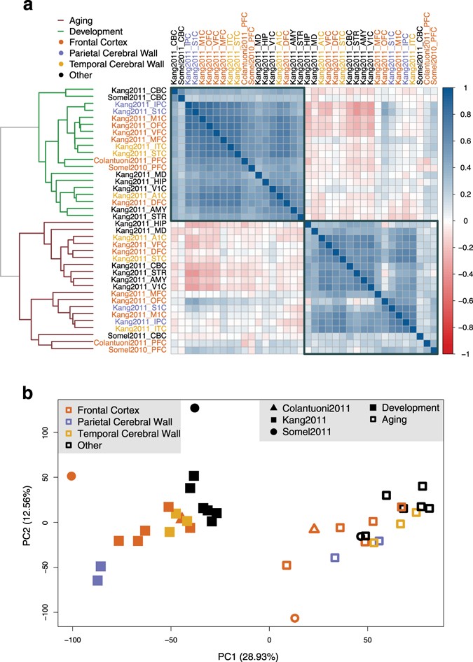 Gene Expression Patterns May Underlie >> Gene Expression Reversal Toward Pre Adult Levels In The Aging Human Gene Expression Patterns May Underlie >> Gene Expression Reversal Toward Pre Adult Levels In The Aging Human