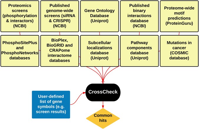 CrossCheck: an open-source web tool for high-throughput screen