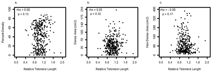 Alternative methods to measure breast density in younger women