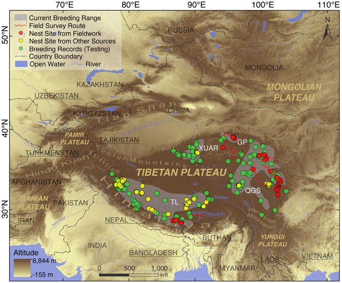 Machine Learning Model Analysis Of Breeding Habitats For The Black Necked Crane In Central Asian Uplands Under Anthropogenic Pressures Scientific Reports