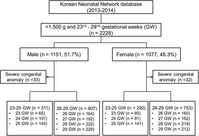 Preemie Survival Rate By Week Chart