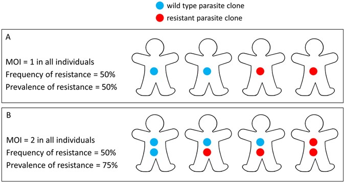 Prevalence of molecular markers of resistance to sulfadoxine