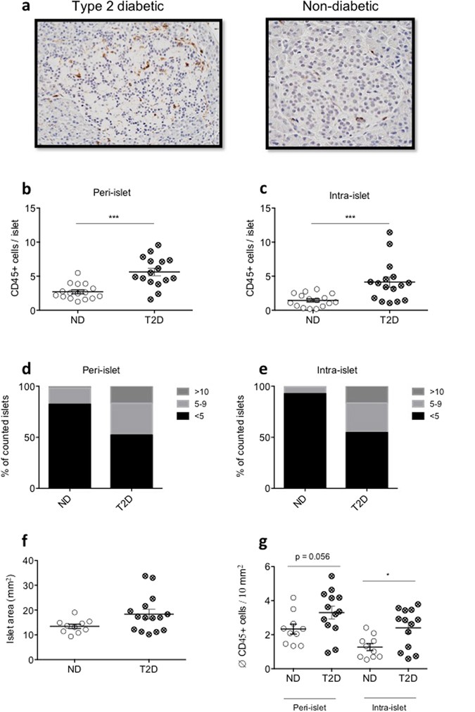 The Role Of Inflammation In B Cell Dedifferentiation Scientific Reports