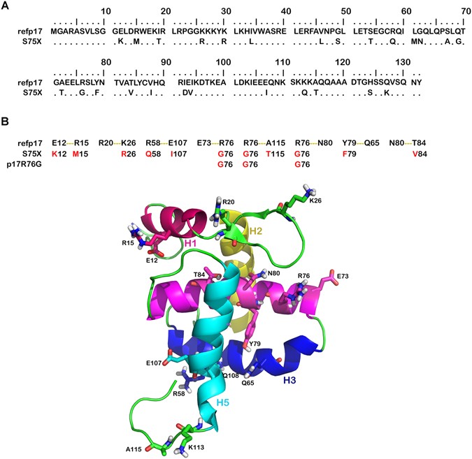 A single amino acid substitution confers B cell clonogenic A single amino acid substitution confers B cell clonogenic