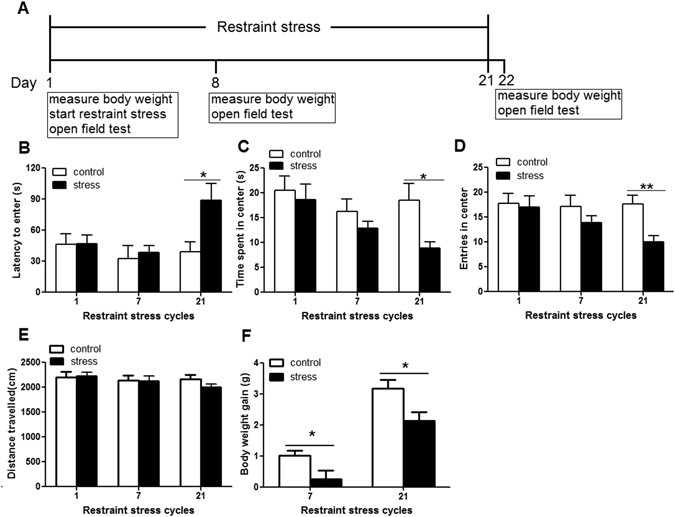 How Do Acute And Chronic Stress Impact >> Spleen Contributes To Restraint Stress Induced Changes In Blood How Do Acute And Chronic Stress Impact >> Spleen Contributes To Restraint Stress Induced Changes In Blood